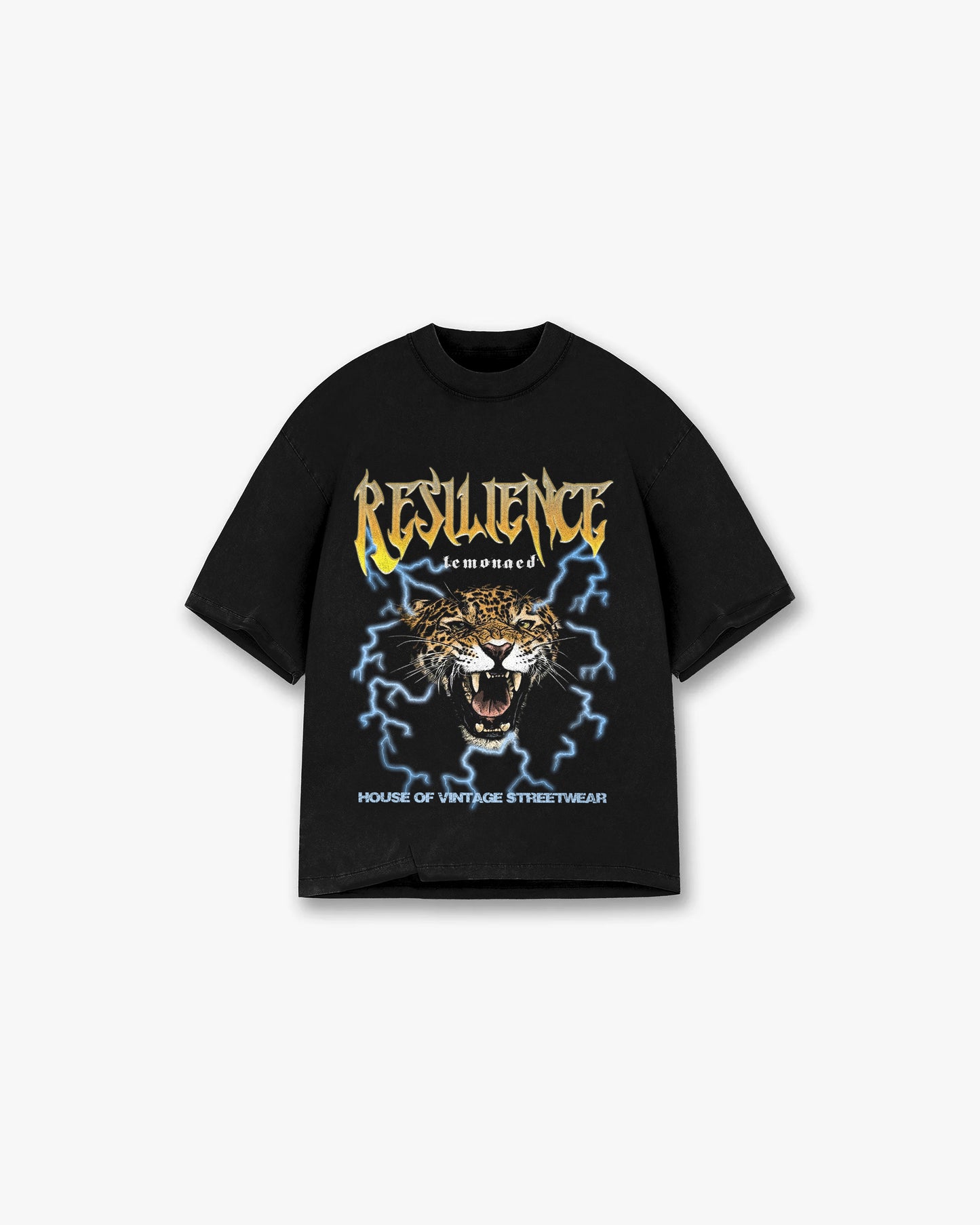 RESILIENCE